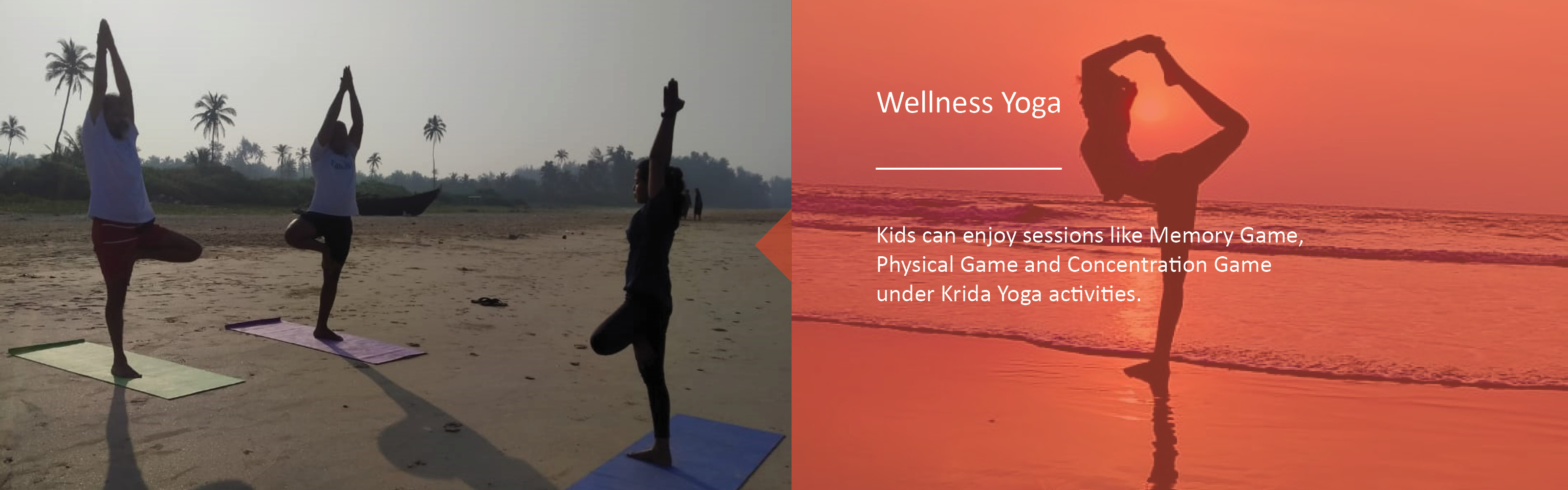 Yoga Wellness Retreats in India